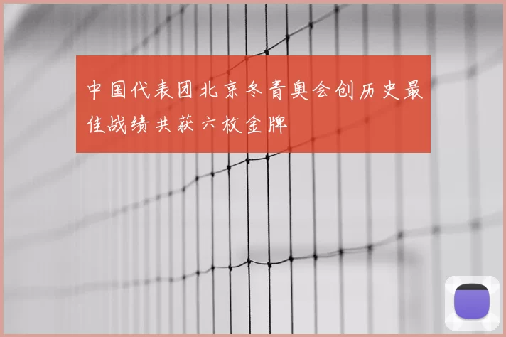 中国代表团北京冬青奥会创历史最佳战绩共获六枚金牌