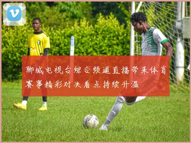 聊城电视台综合频道直播带来体育赛事精彩对决看点持续升温