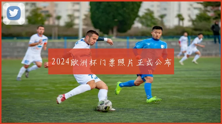 2024欧洲杯门票照片正式公布