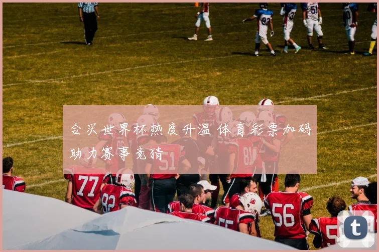 合买世界杯热度升温 体育彩票加码助力赛事竞猜
