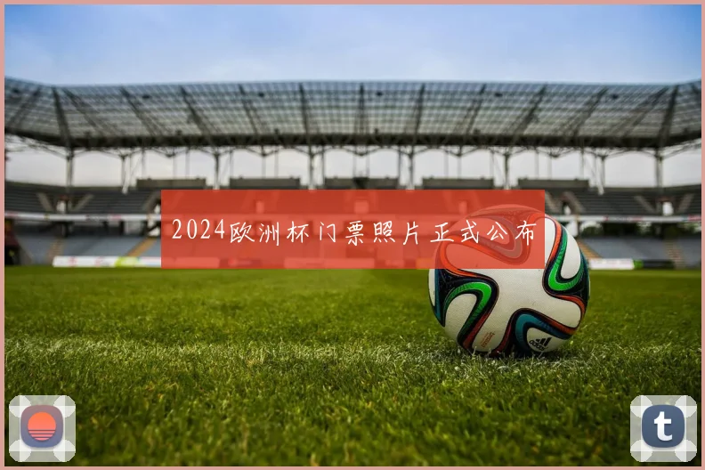 2024欧洲杯门票照片正式公布