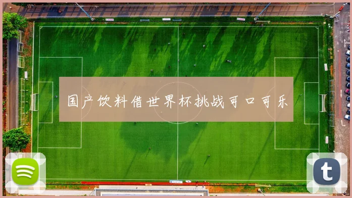 国产饮料借世界杯挑战可口可乐